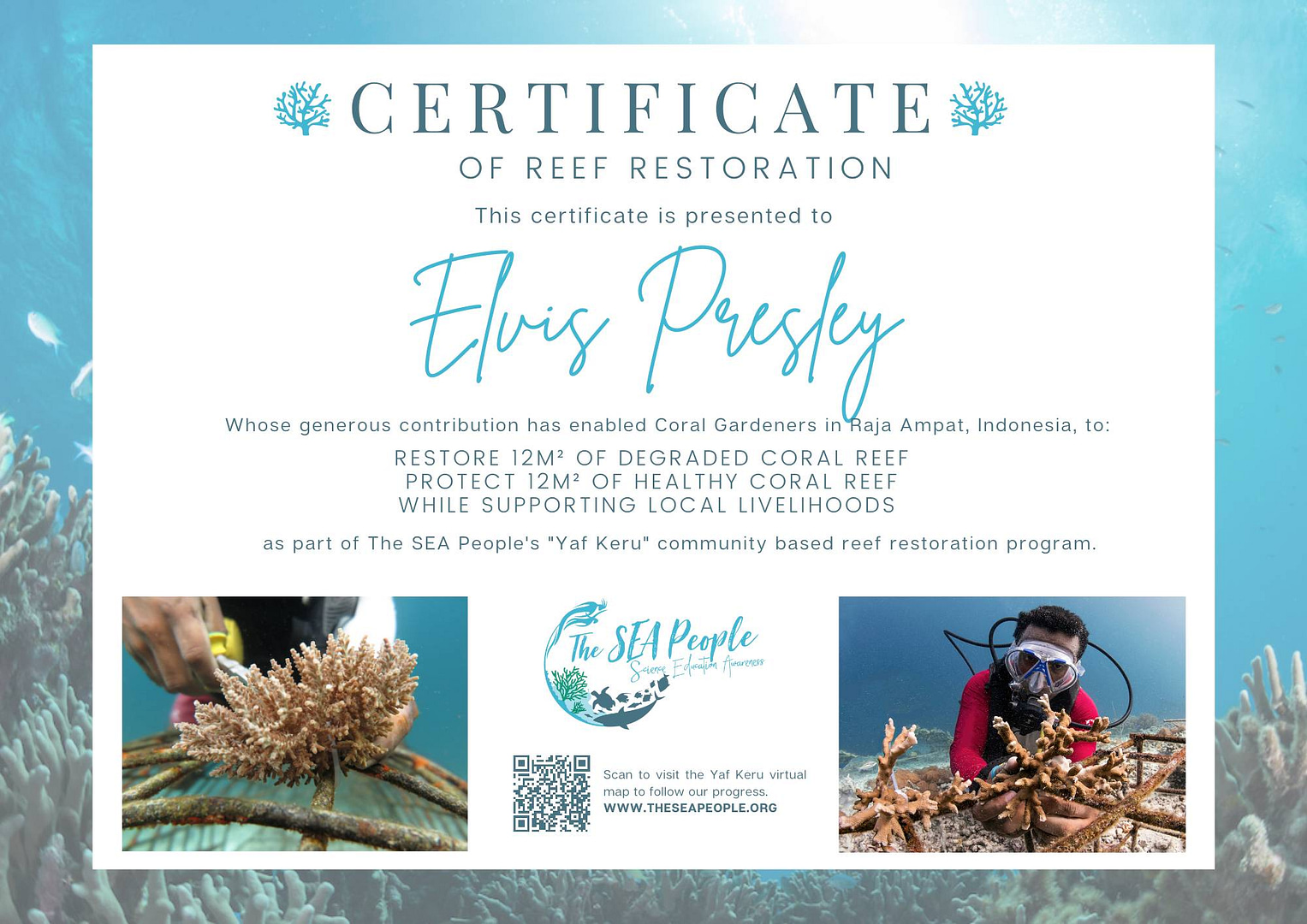 Yaf Keru Raja Ampat Reef Restoration Certificate - The SEA People Orang Laut Papua