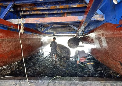 The SEA People Boat Drydock In the Mud Cleaning and Repairing Hulls 3 Reef Restoration Coral Gardeners Raja Ampat