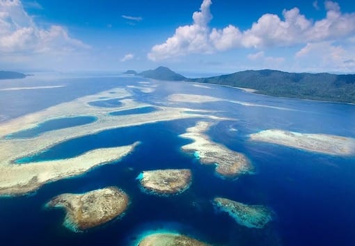 Arnaud Brival Yaf Keru Reef Restoration Conservation Raja Ampat
